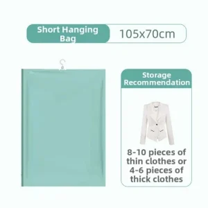 Vacuum Storage Bags for Clothes Bedding Compressible with Strong Valve